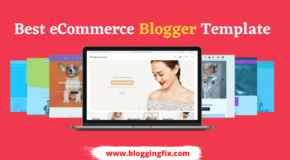 ecommerce blogger template